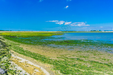 湖蓝色天空和海藻风乡村的爬坡道图片