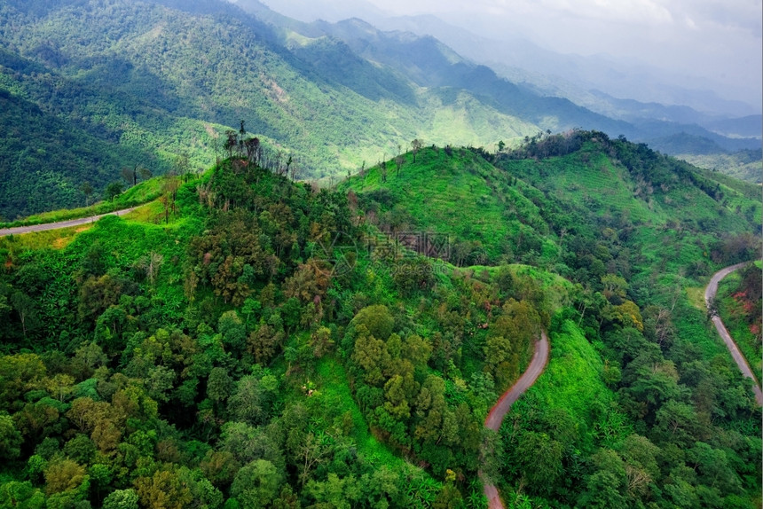 穿越森林地貌的山路上空中观视风景天树路线图片