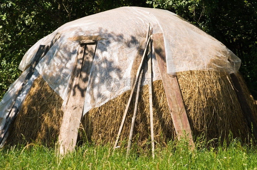 天一堆大片干草覆盖着纤维素包装材料农业乡村图片