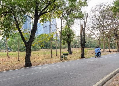 骑城市绿色公园途径路图片