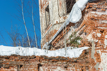 树结构体一个古老的石头教堂废墟在阳光寒冬日充满了年轻的毛衣图片