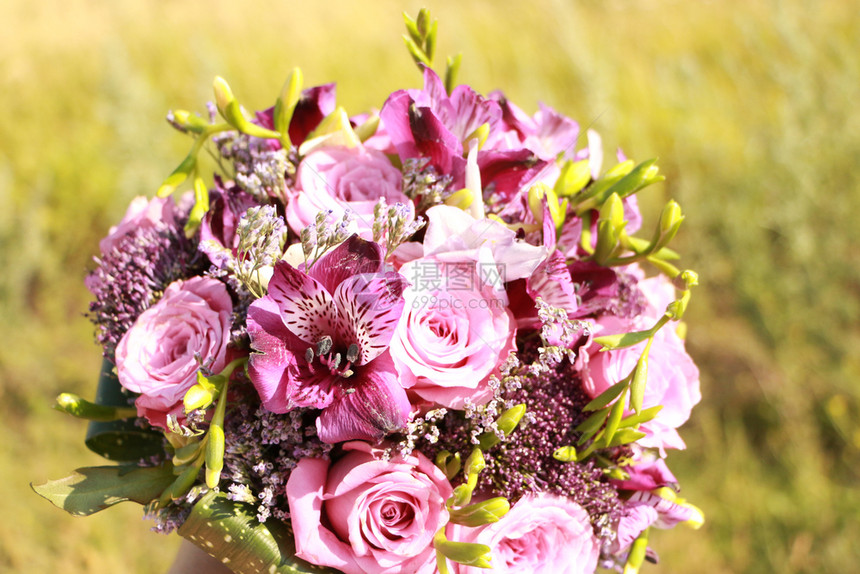自然粉红和紫色的花束朵阳光明亮在草原上生日礼物图片