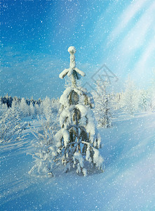 冬季雪景风光背景图片