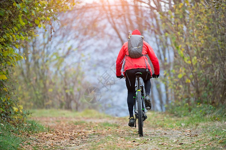 游览山上骑自行车在街树林里一个人独自的景观男人高清图片素材
