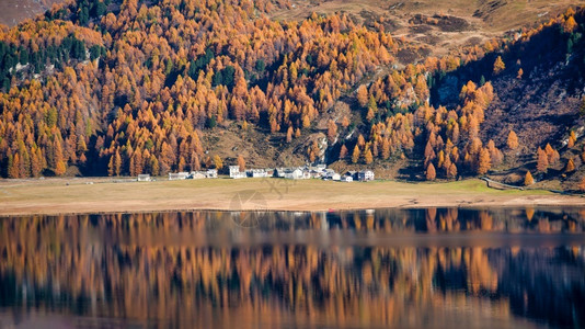 湖泊边的秋季森林风光图片