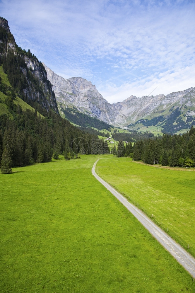 通道蓝色的树木瑞士阿尔卑斯山的路径图片
