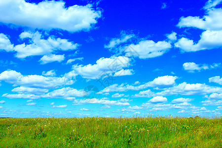 夏草原和蓝天空有白云草地和蓝天空为青云绿夏天白色的安宁图片
