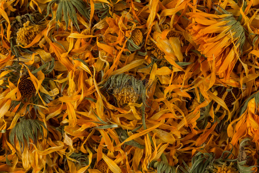 草本植物万寿菊有机的Calendulula流式茶作为背景注入的茶叶图片