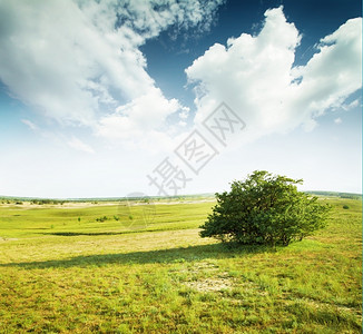云天空下有山丘和树木的田地太阳绿色图片