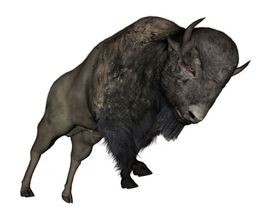 形象的自然白背景Bison充电3D让Bison充电3D让收费图片