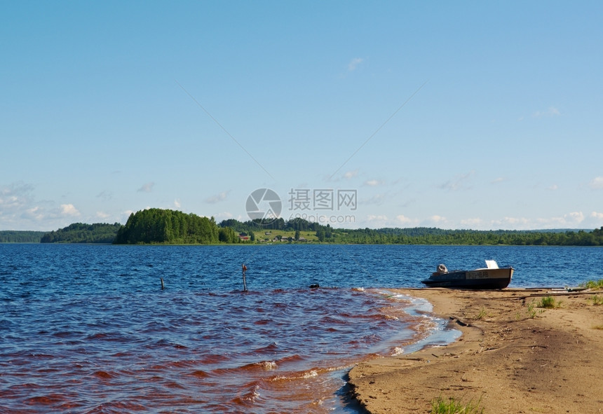 树森林俄罗斯Kenozero湖地区公园图片