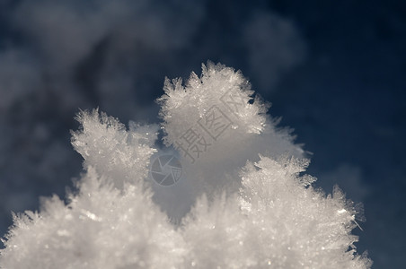 喜庆的冬天雪水晶派对树图片