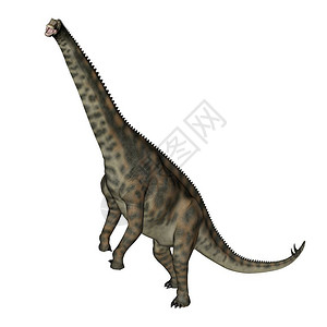 尼日尔绿色使成为自然脊髓恐龙站在白色背景的恐龙面前三维化身设计图片