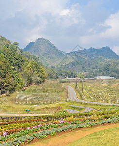 泰国清迈的美丽花园之座位路公园图片