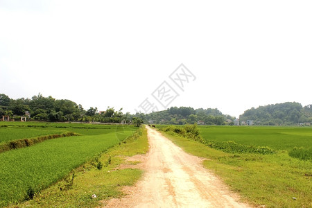 乡村的土地农道路图片