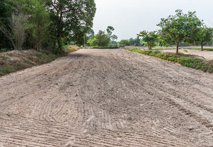 森林沙质土壤正在耕种准备泰国农村耕作a种植干燥树图片