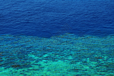 热的支撑深度从珊瑚礁向海的过渡展望从珊瑚礁向深海的过渡图片