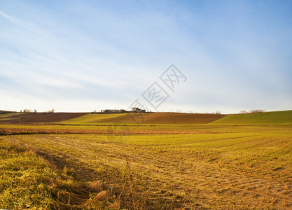 植物水平的稻田日落光下地和山丘水平图像图片