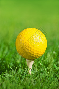 球道木头绿草地外的一小片绿色高尔夫球爱好图片