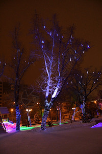 喜庆的夜晚圣诞节和新年城市的装饰为圣诞节和新年地标背景图片