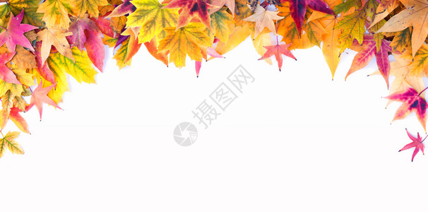 多彩的秋叶边框背景图片