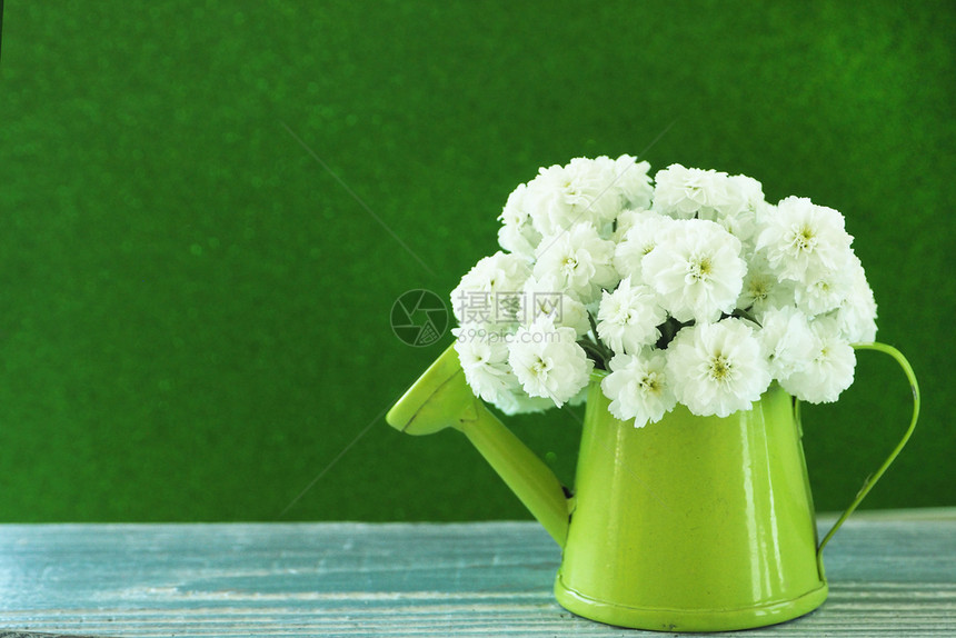 一只小型的绿光水罐一束小白花在木灰板上架立着绿色背景花束开出生图片