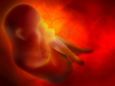 胎盘具有胚胎Embryo的医学抽象背景里面药物后代设计图片