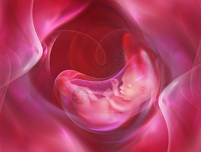 前置胎盘轮廓具有胚胎的医学抽象背景怀孕插图设计图片