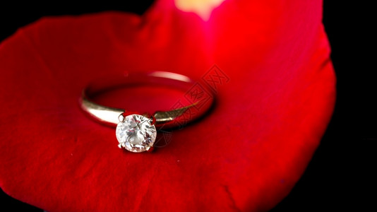 红玫瑰上的订婚戒指图片