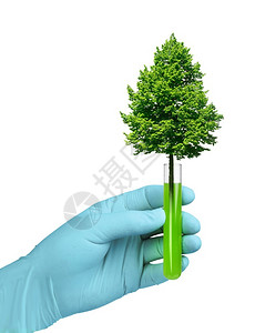 化学实验室生物技术概念在试玻璃管中植树生物技术试验管的增长蓝色图片