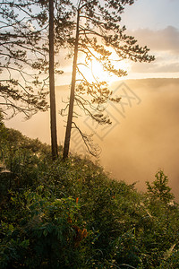 光线奥夫钦尼科日出晨光冲破雾气景观高清图片