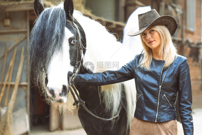动物骑士美丽的乡村风格金发美女有黑白马和女士图片