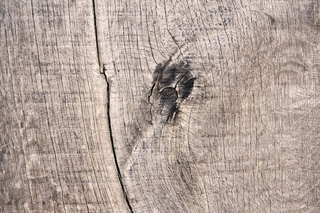 木制的旧风化材grunge纹理木板树图片