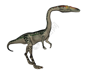 以白色背景孤立行走的科洛物理恐龙3D变成科洛物理恐龙3D侏罗纪数字的怒吼背景图片