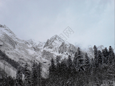 冬季雪景风光图片