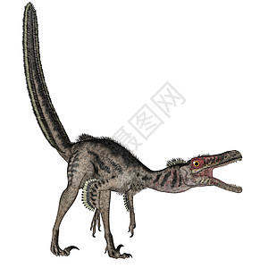 古生物学在白色背景中孤立的恐龙咆哮3D使恐龙变成D化石D荒野史前图片