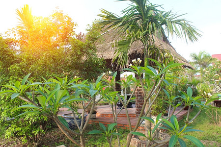 亚洲人早晨越南的传统住房风景农村高清图片素材