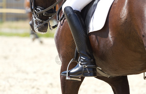 皮革盛装舞步马和骑的人赛骑术高清图片素材