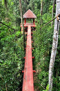 红色的老旅行通往泰国南部热带森林的丛大桥泰国南部图片