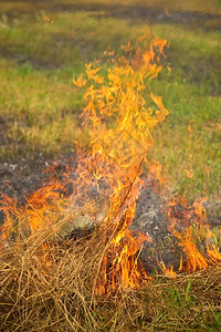 在夏季的野火中烧干草焰危险空气图片