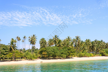 棕榈泰国普吉KohRong热带岛屿天堂海伦晴图片