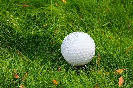 高尔夫球在绿色草地上高尔夫球的近热俱乐部白色的图片