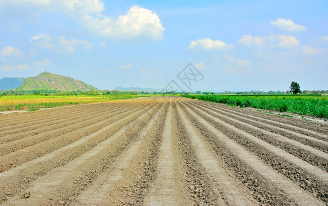 食物稻田晴天拖拉机制造的土壤线有蓝色天空和山地背景泰国农业图片