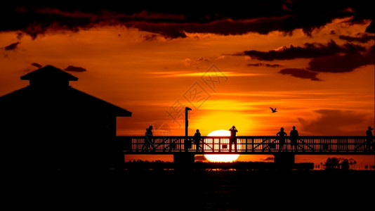 波特罗在柏林大西洋人们观看美国佛罗里达州埃斯特岛的密尔堡海滩岸美丽日落的景色人们在看县团结的背景