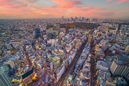日本东京城市全景图片