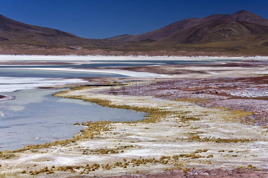 卡连特斯智利北部阿塔卡马沙漠AluesCalientesLagoon湖盐矿床价值火山图片