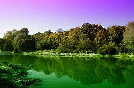 紫色天空和绿色湖泊中的森林倒影图片