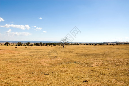 澳大利亚西新南威尔士州遭受旱灾的干荒农田多云土地干枯图片