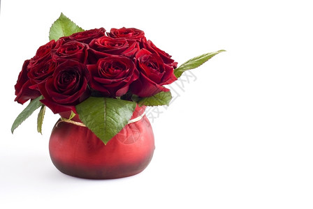 丰富多彩的白色背景红锅中美丽玫瑰花朵超过店图片