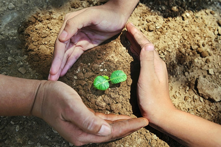 关心农民在土壤生态环境概念上三只手保护和照料小树的土生态环境概念绿色图片